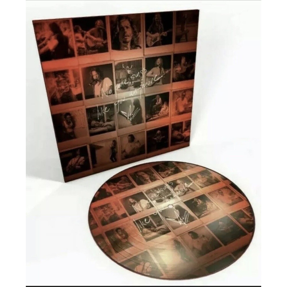 Chris Cornell No One Sings Like You Anymore PICTURE DISC Vinyl LP‎ Soundgarden